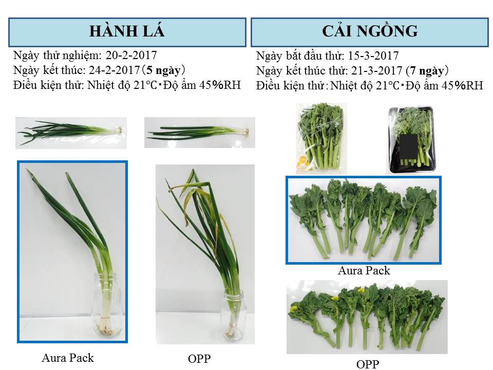túi Bảo quản nông sản sau thu hoạch