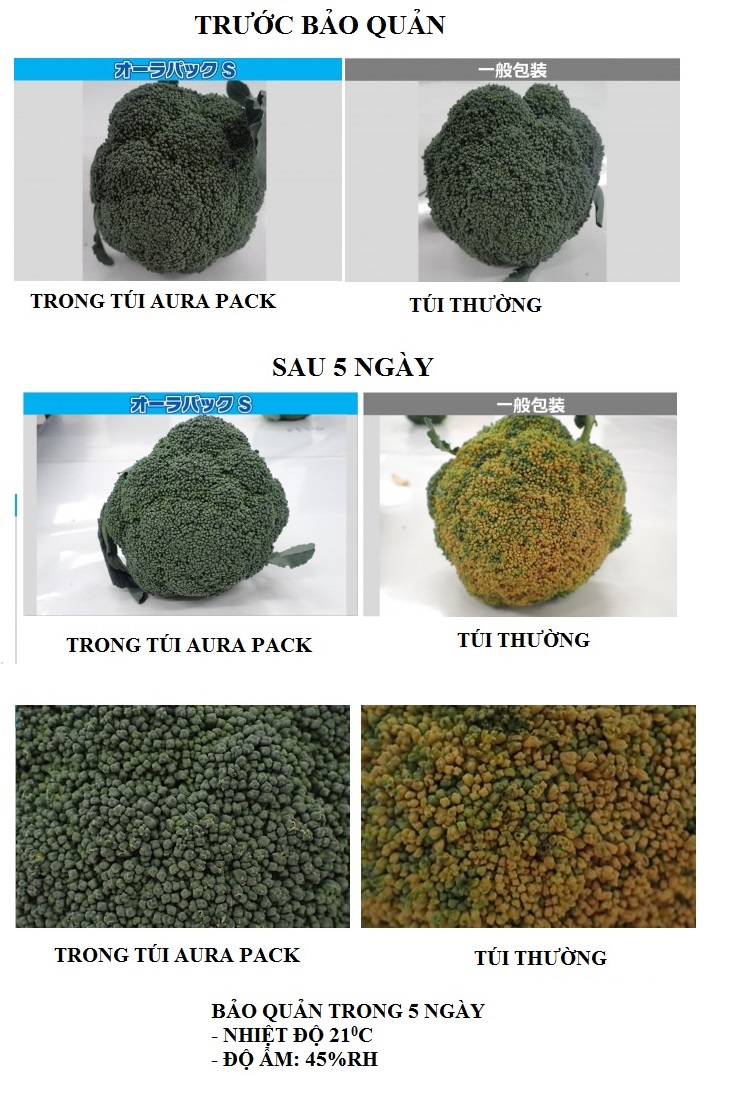 túi Bảo quản nông sản sau thu hoạch