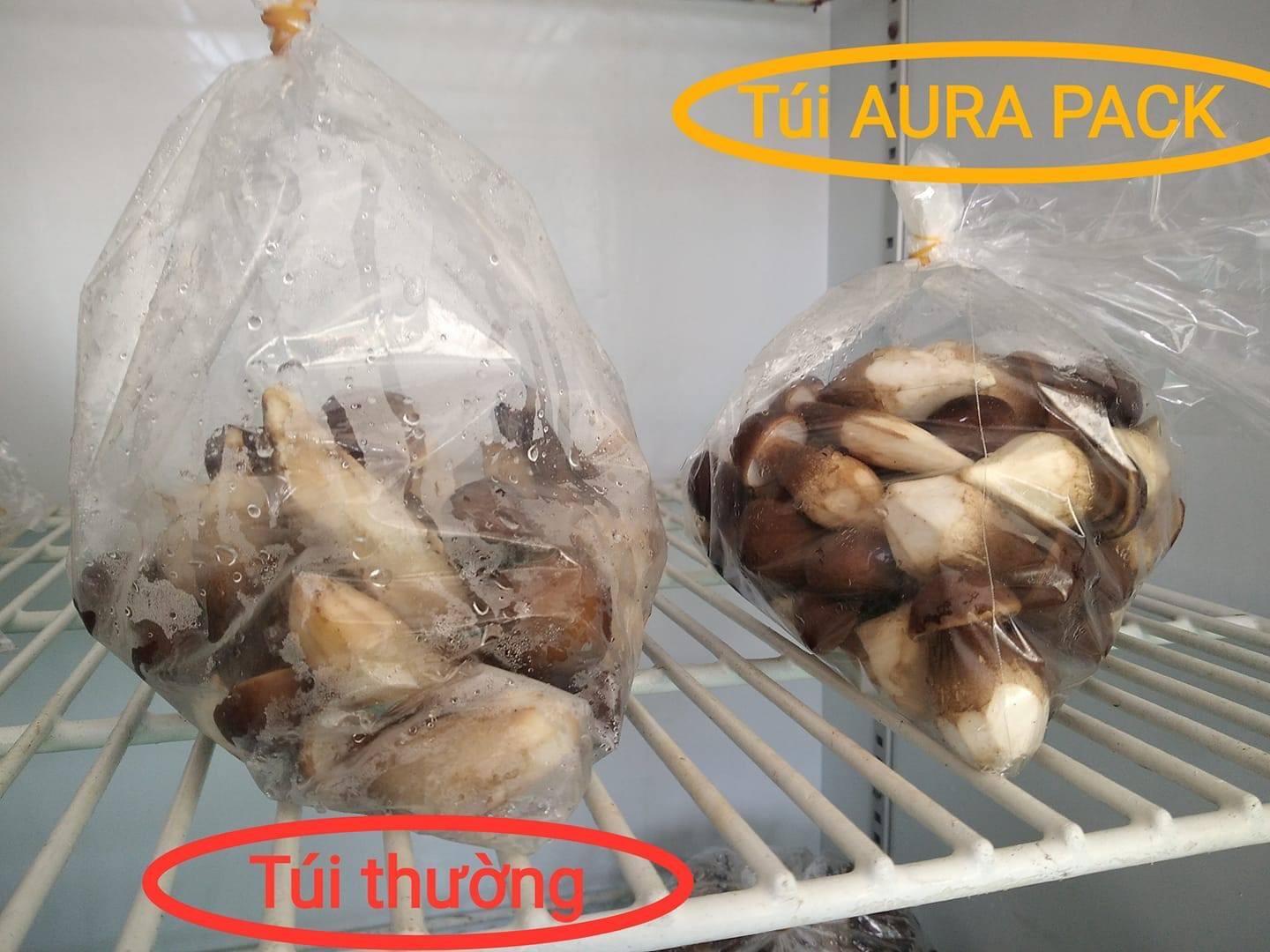 túi Bảo quản nông sản sau thu hoạch