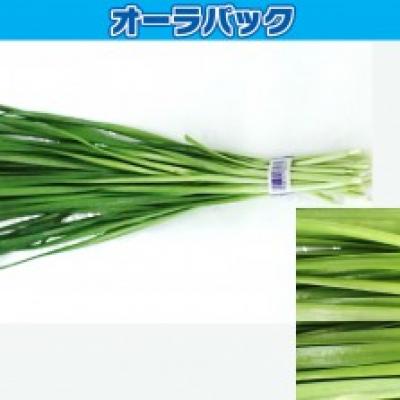 Túi Aura pack bảo quản lá hẹ