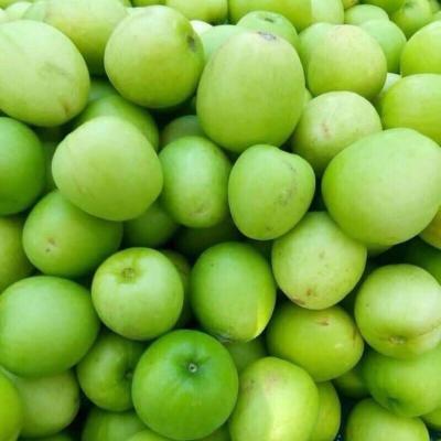 Trái cây miền Trung 8